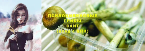 сатива Бронницы