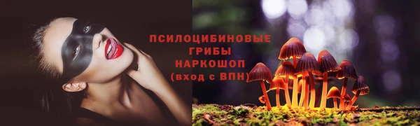 PSILOCYBIN Верхнеуральск