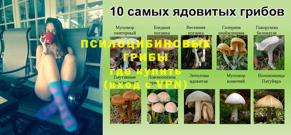 стафф Вяземский