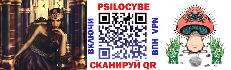 Псилоцибиновые грибы Psilocybine cubensis  kraken   Дивногорск 